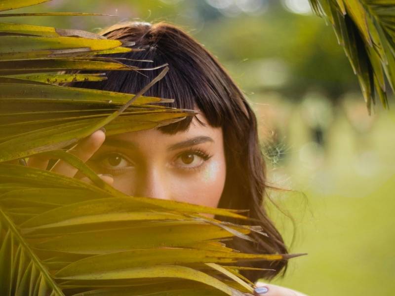 דקל ננסי לשיער